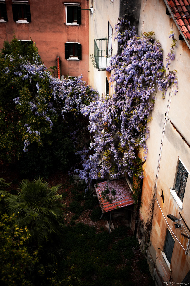Photos from Rome, Venice, Florence, Tuscany, Manarola, Vernazza, Riomaggiore, Verona, Trento, and the Italian Alps in Spring of 2022.